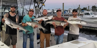 Chasin'tail Sportfishing NJ Fishing Charters | 6 Hour Charter Trip  fishing Offshore 