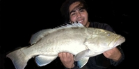 Slot Boys Charters Charter Fishing Florida | 4 Hour Nighttime Bridge Fishing  fishing Inshore 