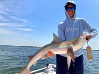 Charleston Fish Rod Bending Bull Redfish & Shark Charter Fishing Trip -  Charleston, SC fishing Wrecks 