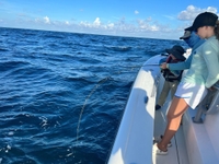 Anchored Charters Guide Service Dolphin Tour - Panama City Beach, FL fishing Inshore 