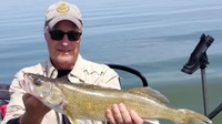 Allen's Guide Service Full Day Walleye Fishing 9 hours  fishing Lake 