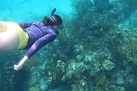 Morris Crew Charters LLC Snorkeling in Florida Keys fishing Inshore 