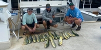 Anytime Outlaw Fishing Charter Fishing Key West | 4 Hour Shared Fishing Trip fishing Inshore 
