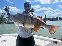 Clear Lake Fishing Charters Clear Lake Fishing Charters | 4 Hour Half-Day (Morning or Afternoon) Private Trip  fishing Inshore 