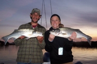 Bill Sportsfishing and Guide Service Full Day Trip - Trolling fishing Inshore 