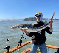 HelpUfish San Franciso Fishing Charters | Half Day Trip  fishing Inshore 