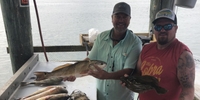 Texas Fins and Feathers Fishing Guides in Port O Connor | 4 To 7 Hour Charter Trip  fishing BackCountry 