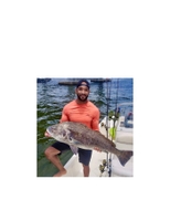 Nordic Fishing Charters and Excursions Tampa Fishing Charters fishing Inshore 