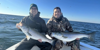 Reel Altercation Sport Fishing Fishing Charters Barnegat Light NJ | 6 Hour Charter Trip fishing Offshore 