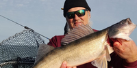 AA Charters Charter Fishing On Lake Erie | 8 Hour Charter Trip  fishing Inshore 