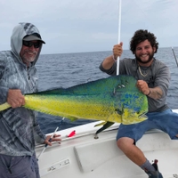 Colossal Catch Full Day Offshore Fishing Trip - Fort Pierce, FL fishing Offshore 