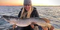 Tactical Angling Fishing Charters in Wisconsin | Delavan Fishing Trip fishing Lake 