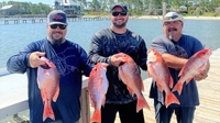 In Too Deep Charters Catch the Biggest Red Snappers Yet on Your Next Gulf Shores Fishing Charters fishing Offshore 