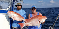 Fishin Addiction Charters Fishing Galveston TX | 6 Hour & 30 Mins Charter Trip  fishing Offshore 