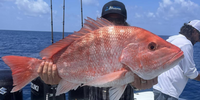 Fishin Addiction Charters Charter Fishing Galveston Texas | 10 Hour & 30 Mins Charter Trip  fishing Offshore 