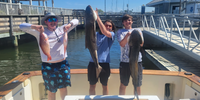 Pipe Dream Charters 6 To 10 Hour Reef And Wreck Fishing Trip In Fernandina Beach  fishing Offshore 