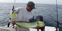 Pipe Dream Charters 12 Hour Gulf Stream Fishing In Fernandina Beach  fishing Offshore 