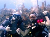 Conch Republic Divers Florida Scuba Diving Trips | Guided Scuba Diving  1 Tank Night Dive  water_sports Scuba Diving 