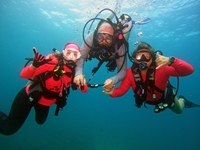 Conch Republic Divers Florida Scuba Diving Trips | Guided Scuba Diving Half-Day 2 Tank Dive water_sports Scuba Diving 