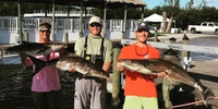 Reel Sanibel Fishing Charters Charter Fishing Fort Myers fishing Inshore 