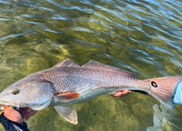 Captain Bach Charters Florida Fishing Charters | Christmas Special fishing Inshore 