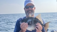 Saltwater Fever Fishing Charter Pensacola FL | Offshore Reef Fishing fishing Offshore 