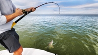 GulfCoast Guide Fishing & Adventure Shark Fishing Panama City Beach | 4 Hour Excursions fishing Inshore 