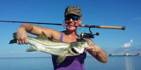 Bay Native Fishing Fishing Charters Tampa Bay | 4 To 8 Hour Charter Trip  fishing Inshore 