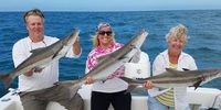 Superfish Charters Far Gulf Relay Towers & Wreck — Marathon, FL fishing Offshore 