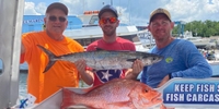 Have Fun Charter’s 4-Hour Fishing Trip —Shalimar, FL fishing Offshore 