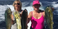 Showtime Fishing Charter Deep Sea Fishing in Panama City | Private 8-Hour Morning Fishing Charter fishing Wrecks 