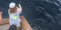 Showtime Fishing Charter Panama City Beach Fishing Trips | Private 4-Hour Trolling Trip fishing Wrecks 