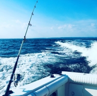 Hook & Fin Fishing Charters Blackfish Trip fishing Inshore 