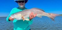 Weird Water Fishing Charters Mosquito Lagoon Fly Fishing Guides | 4 or 6 Redfish On The Fly fishing Inshore 