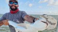 Top Predator Adventures South Carolina Shark Fishing fishing Inshore 