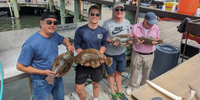 Just A Toy Charter  Fishing Charter Ocean City MD | 4 Hour Charter Trip  fishing Wrecks 
