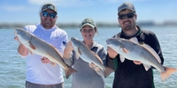 Full Throttle Fishing Charters  Exciting Day Trip: Catch your Limit on a Clearwater Charter! fishing Inshore 