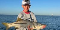 Full Throttle Fishing Charters  Experience the Joy of Reeling with Quick Clearwater Fishing Charters fishing Inshore 
