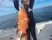 Chase The Blue Charters Fishing Charter in Anna Maria Island | 4 Hour Morning Nearshore Fishing  fishing Inshore 