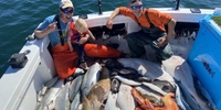 Blount Adventures Cruises Alaska Fishing Charters Homer | Multi Species Spring Fishing Trip fishing Offshore 