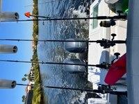 Nautical Native Fishing Adventures 4 Hour Inshore Fishing Trip (AM) - Bradenton, FL  fishing Inshore 