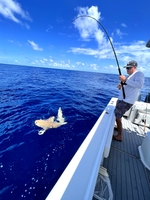 Nautical Native Fishing Adventures 6 Hour Inshore Fishing Adventure - Bradenton, FL  fishing Inshore 