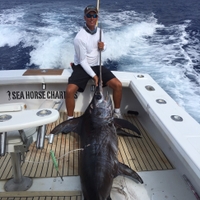 Sea Horse Deep Sea Fishing Islamorada Fishing Charters | Max of 6 Guest fishing Offshore 