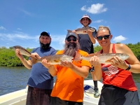 Captain Ted Nesti Fishing Charters St Petersburg Fishing Trips | 3 Hour Afternoon Trip  fishing Inshore 