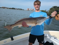 Captain Ted Nesti Fishing Charters Fishing Charters St Pete | 2 Hour Afternoon Trip  fishing Inshore 