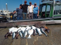 Homer Charter Fishing Halibut Fishing in Homer Alaska  | 8 Hour Shared Charter Trip fishing Inshore 