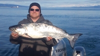 Homer Charter Fishing Alaska Fishing Charters Homer | 8 Hour Salmon Shared Trip fishing Inshore 