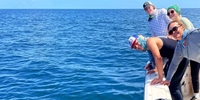 Ceviche Charters Charleston Charter Fishing fishing Offshore 