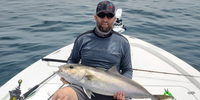 Silver Beard Charters Fishing Charters Charleston SC | 8 Hour Nearshore Charter Trip  fishing Offshore 