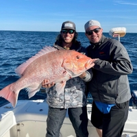LoneStar Fishing Charters Seasonal 5-Hour Fishing Trip in Destin, FL fishing Inshore 